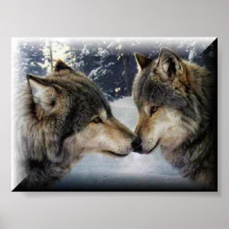 Affiches Loups