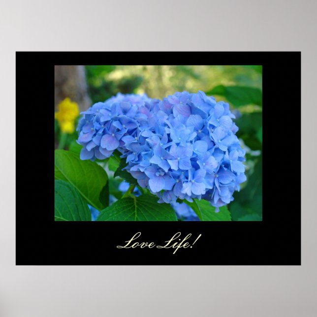 Affiches Love Life! art imprime Blue Hydrangea Floral art (Devant)