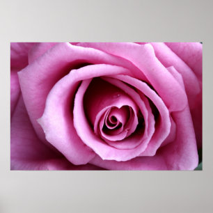 Affiches Lovely in lilac