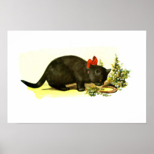 Affiches Lucky black cat animal art