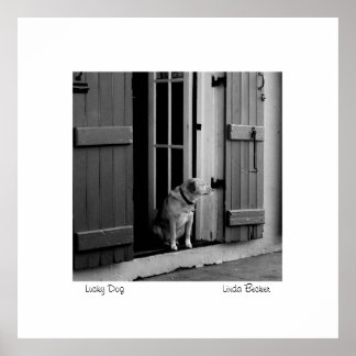 Affiches Lucky Dog par Linda Becker PhotoArt