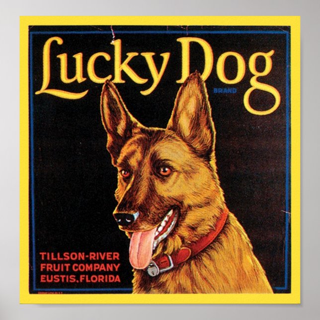 Affiches Lucky Dog Vintage Crate Étiquette (Devant)