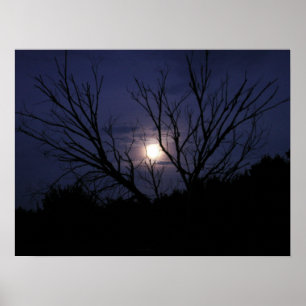 Affiches Lueur de lune