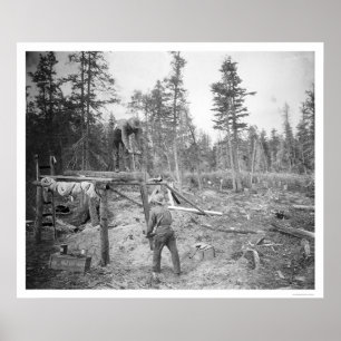 Affiches Lumberjacks en Alaska 1916