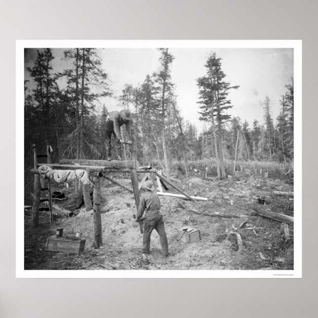 Affiches Lumberjacks en Alaska 1916 (Devant)