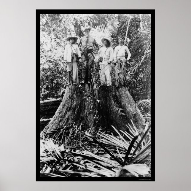 Affiches Lumberjacks en Mindoro, Philippines 1906 (Devant)