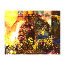 Lumière Abstraite 7 : Vie bénie