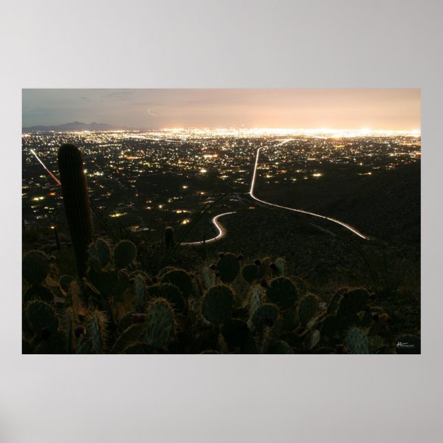 Affiches Lumières nocturnes de Cactus (Devant)