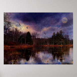 Affiches Lune sur le marais