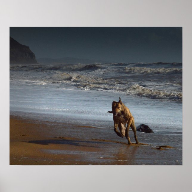 Affiches Lurcher sur la plage (Devant)