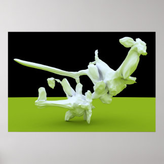 Affiches Lutte contre Kung-Fu