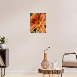 Affiches Lys de jour