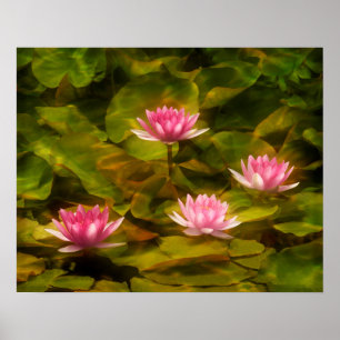 Affiches Lys d'eau artistique, Californie