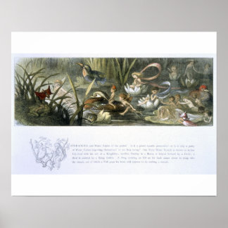 Affiches Lys d'eau et fées d'eau, illustration de