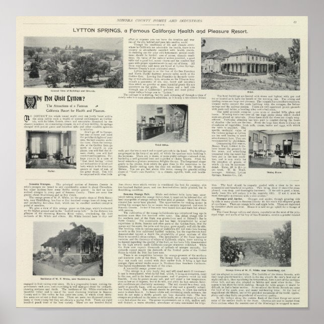 Affiches Lytton Springs, Californie (Devant)