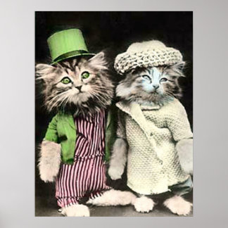 Affiches M. et Mme Cat