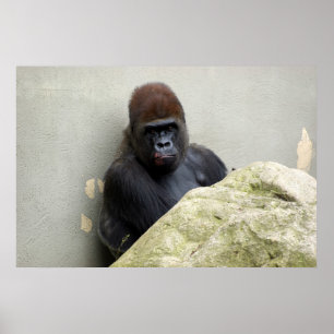 Affiches M. Gorilla a eu une mauvaise journée