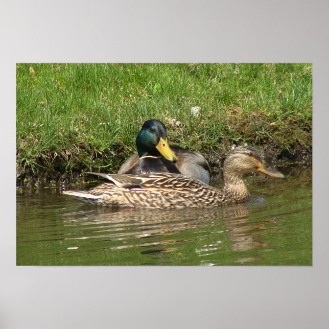 Affiches Ma belle fille (Devant)