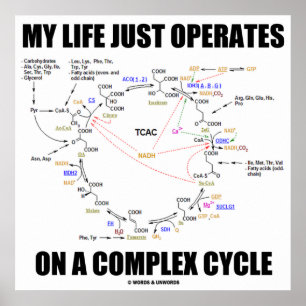 Affiches Ma Vie Fonctionne Sur Un Cycle Complexe (Krebs)