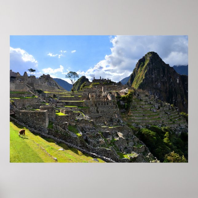 Affiches Machu Picchu dans l'après-midi, Pérou (Devant)