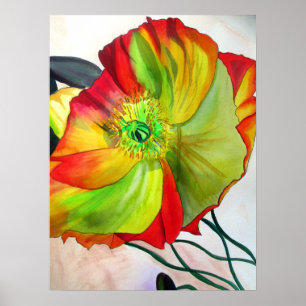 Affiches Macro Poppy original aquarelle