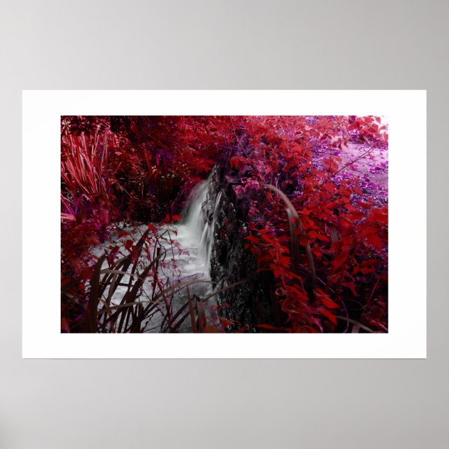 Affiches Magenta (Devant)