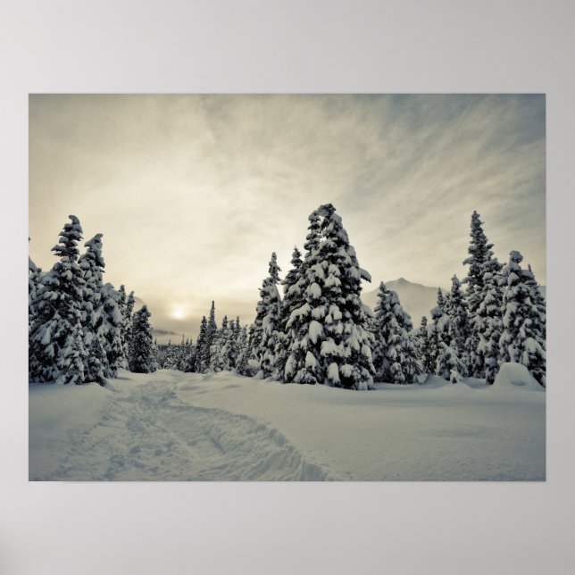 Affiches Magie hivernale (Devant)