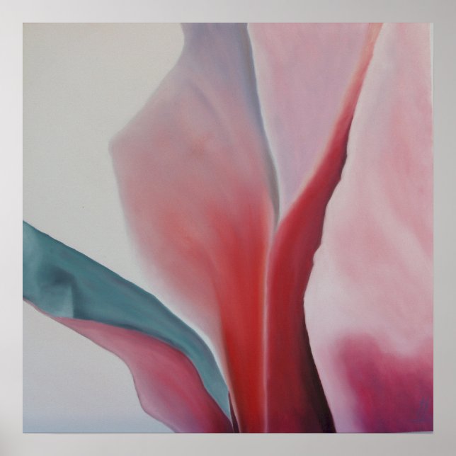 Affiches Magnolia 2 (Devant)