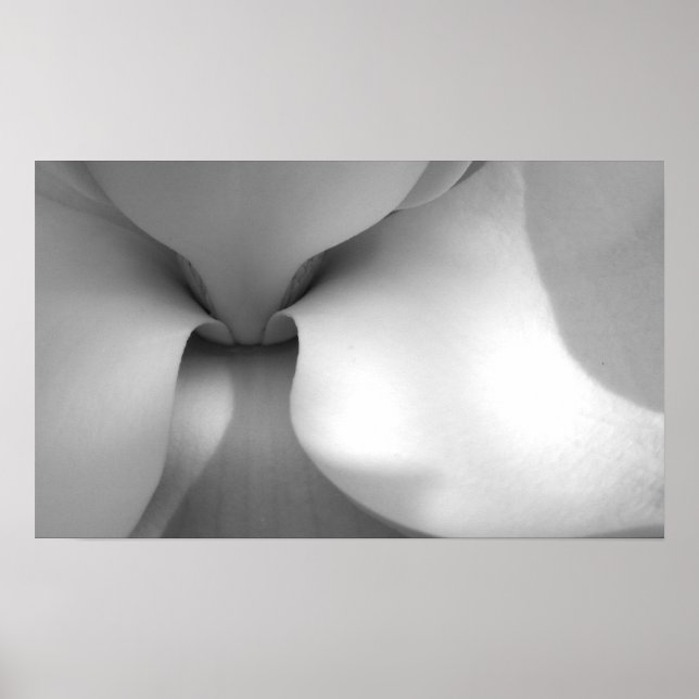 Affiches Magnolia Canvas (Devant)