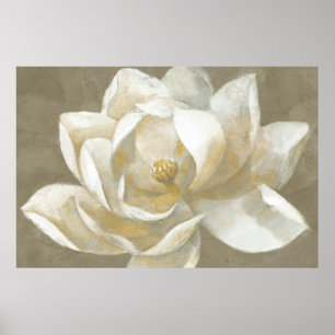 Affiches Magnolia majestueuse