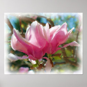 Affiches Magnolia Rose Fleurit Art Fleur Peinture Photo