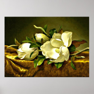 Affiches Magnolias sur Veston d'or, peinture d'art