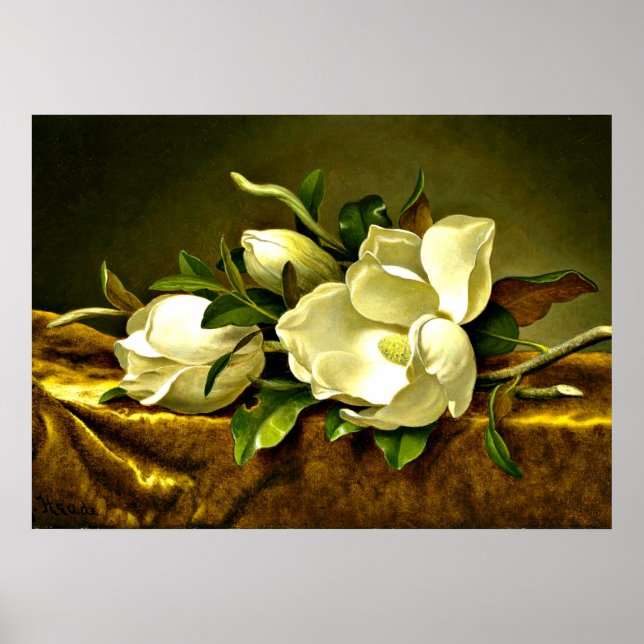 Affiches Magnolias sur Veston d'or, peinture d'art (Devant)
