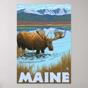 Affiches MaineMoose buvant dans le lac