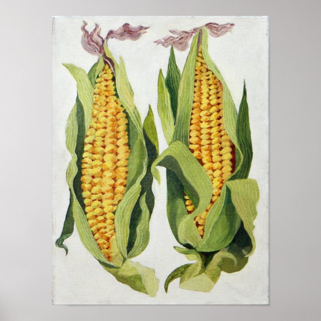 Affiches Maïs doux 2013 (Devant)