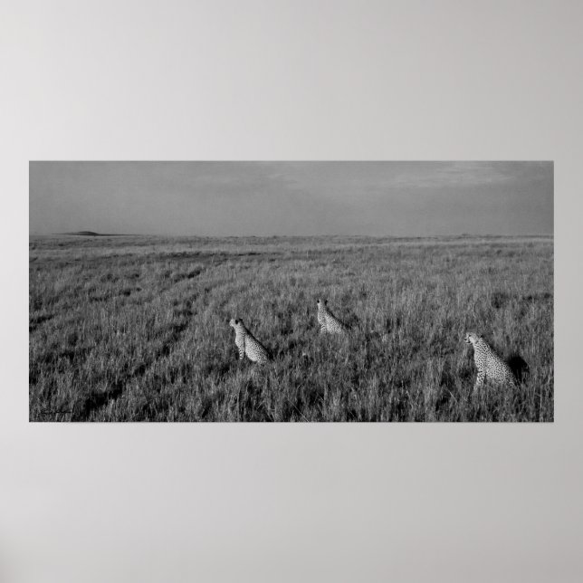 Affiches Maison des Trois Frères (Devant)