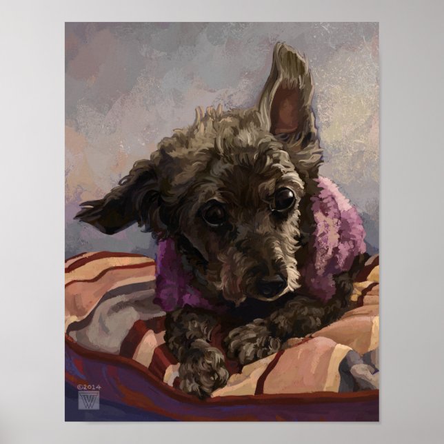 Affiches Maîtriser le caniche (Devant)