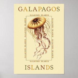 Affiches Maladie des îles Galapagos