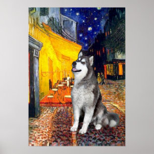 Affiches Malamute d'Alaska - Café Terrace
