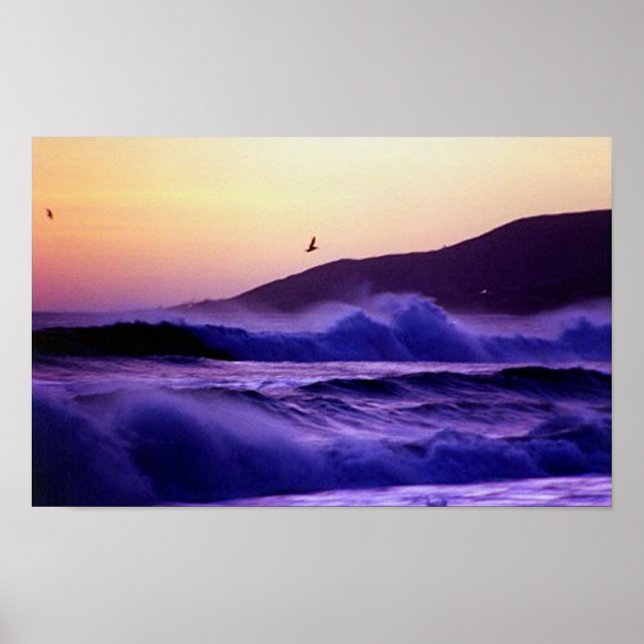 Affiches Malibu Beach (Devant)