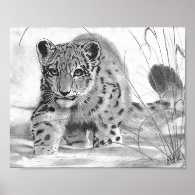 Affiches Malicieux (Devant)