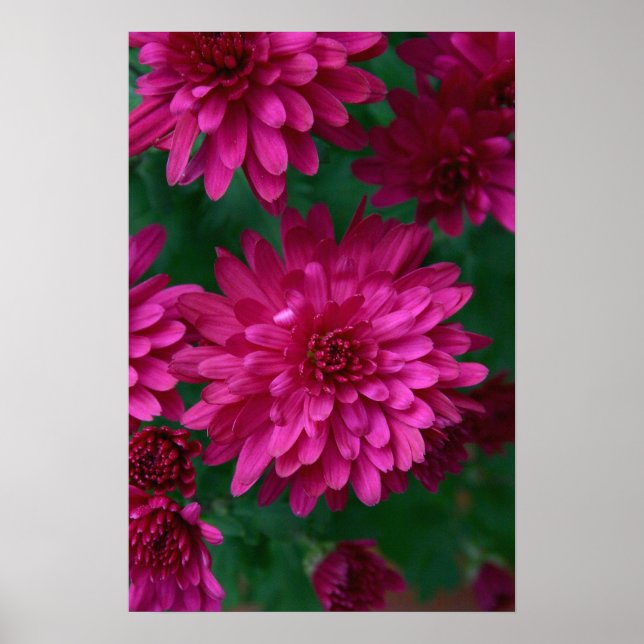 Affiches Maman ! (Devant)