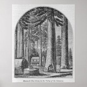 Affiches Mammoth dans la Vallée de la