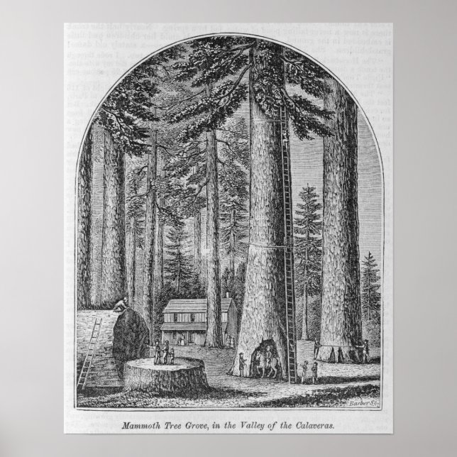 Affiches Mammoth dans la Vallée de la (Devant)