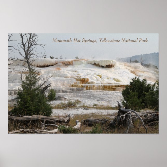 Affiches Mammoth Hot Springs, parc national Yellowstone (Devant)