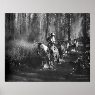 Affiches Mammoth Mules