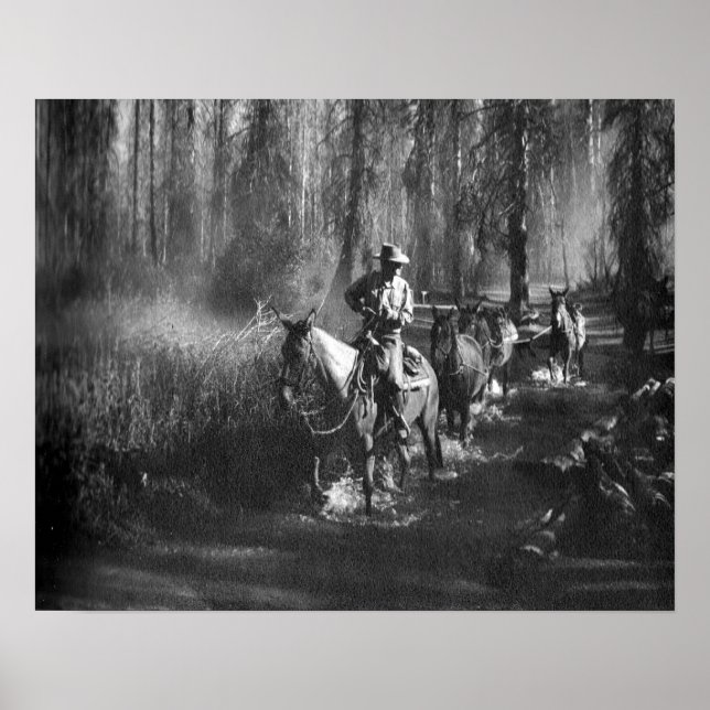 Affiches Mammoth Mules (Devant)