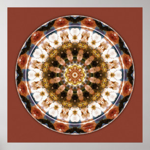 Affiches Mandalas of Deep Trust, No 11