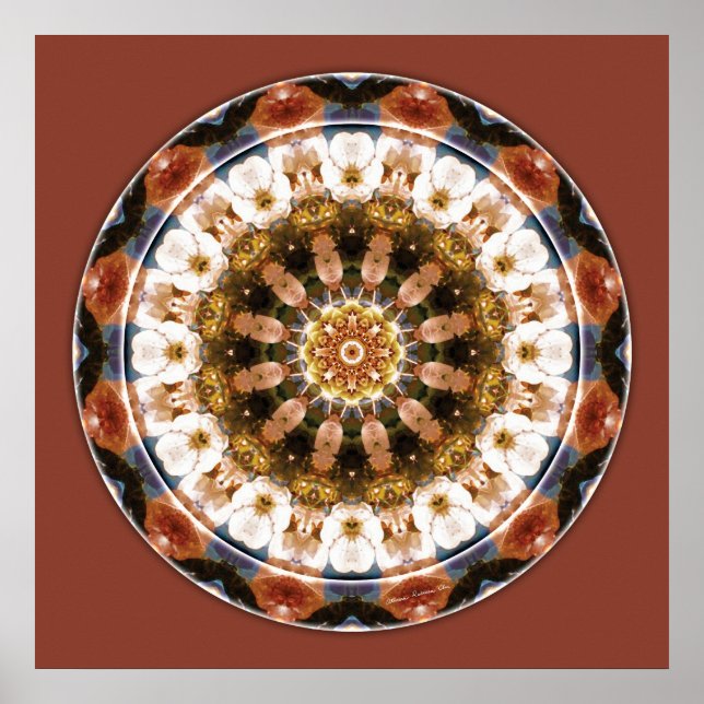 Affiches Mandalas of Deep Trust, No 11 (Devant)