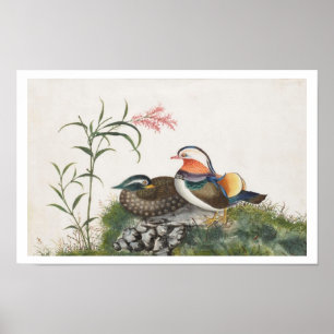 Affiches Mandarin Canard peinture chinoise